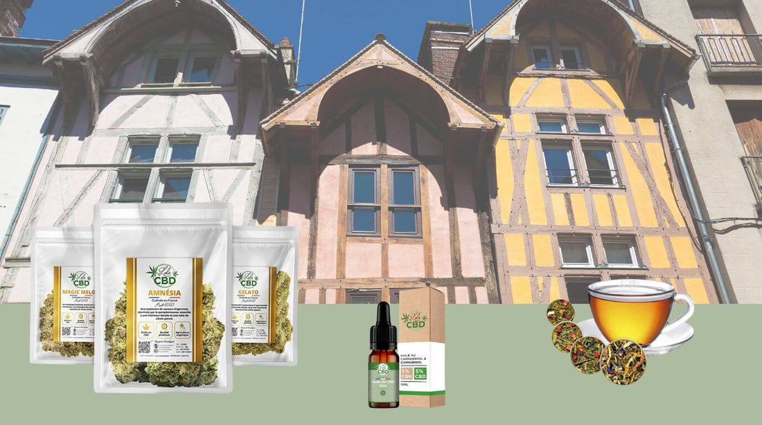 CBD à Troyes : fleurs, huiles et tisanes Lola CBD