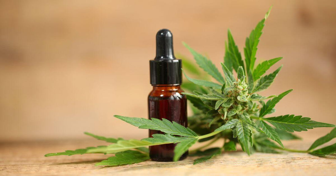 Comment consommer le CBD ? Le guide simple et complet pour bien débuter