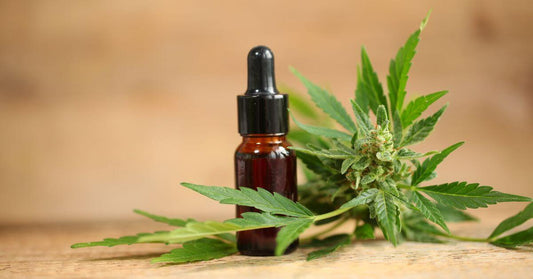 Comment consommer le CBD ? Le guide simple et complet pour bien débuter