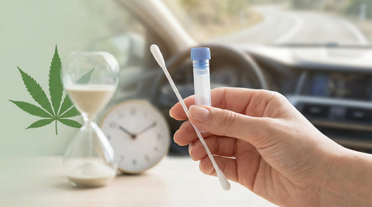 Combien de temps le CBD reste dans la salive ?